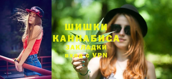 спиды Богданович