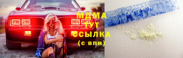 спиды Богданович