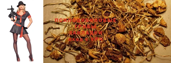 таблы Бронницы